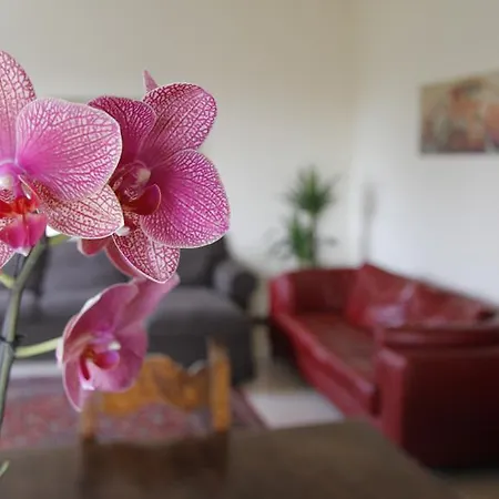 Apartamento Casa Farinati Verona Habitación foto